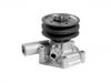 Водяная помпа Water Pump:410767400