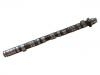 Nockenwelle Camshaft:14110-PPA-010