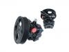 Hydraulikpumpe, Lenkung Power Steering Pump:49100-50J40