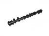 Arbol de Levas Camshaft:13502-28010