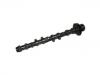 Arbol de Levas Camshaft:13501-75030