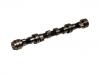Nockenwelle Camshaft:13001-9C600