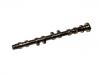 Nockenwelle Camshaft:13020-73C00