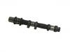 Arbol de Levas Camshaft:13034-AA101