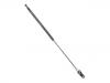 Amortiguador de gas Gas Spring:81860-62B20